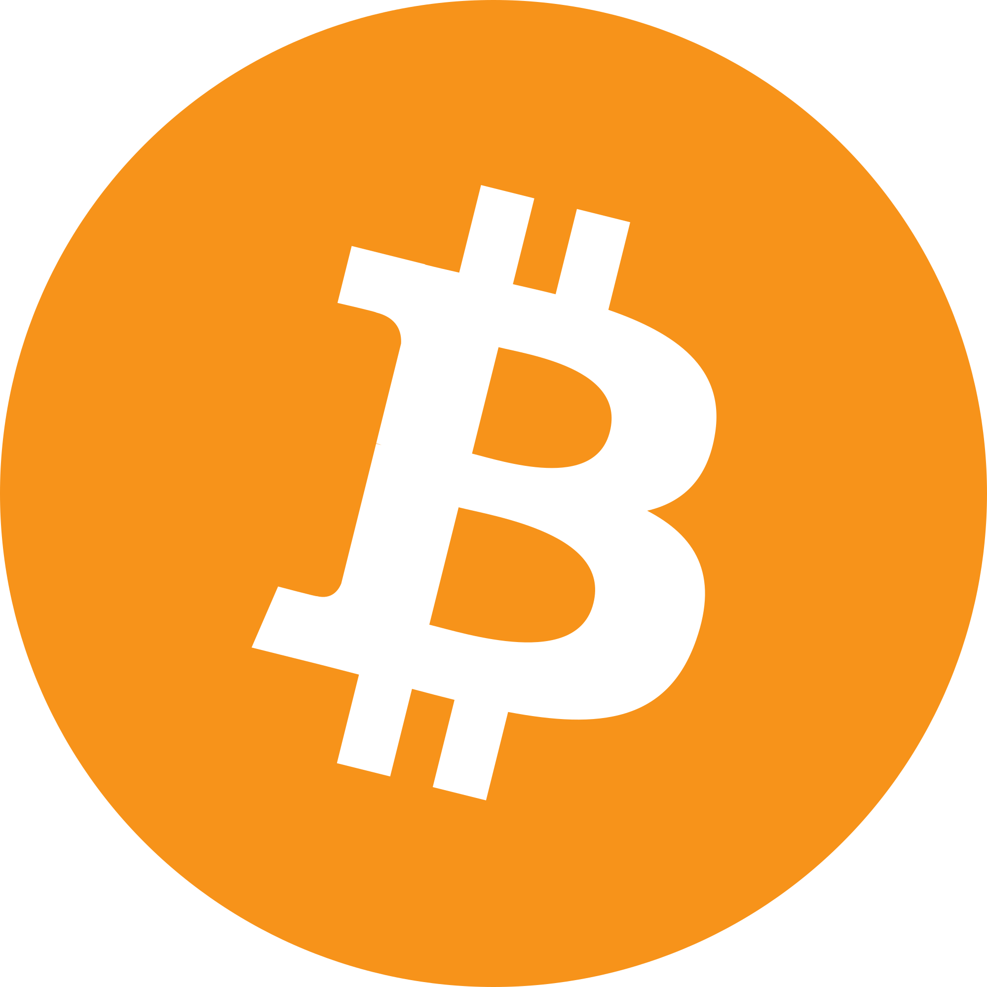 Bitcoin Protocol
